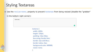 Lecture 13 CSS Styling form Elements.pdf