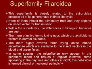 Superfamily Filaroidea
This superfamily is closely related to the spiruroidea
because all of its genera have indirect life cycle.
None of them inhabit the alimentary tract and they depend
on insect vector for transmission.
Within the superfamily, the differences in biological behavior
are seen.
The more primitive forms laying eggs which are available to
vectors in dermal exudates.
The more highly evolved forms laying larvae termed
microfilariae which are available to the insect vectors in the
blood and tissue fluids.
In some species, the microfilariae only appear in the
peripheral blood and tissues at regular intervals, some
appearing in the day time and others at night; this behaviour
is termed diurnal or nocturnal periodicity.
 