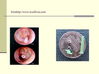 fromhttp://www.rcsullivan.com
 