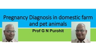 Pregnancy Diagnosis in domestic farm
and pet animals
Prof G N Purohit
 