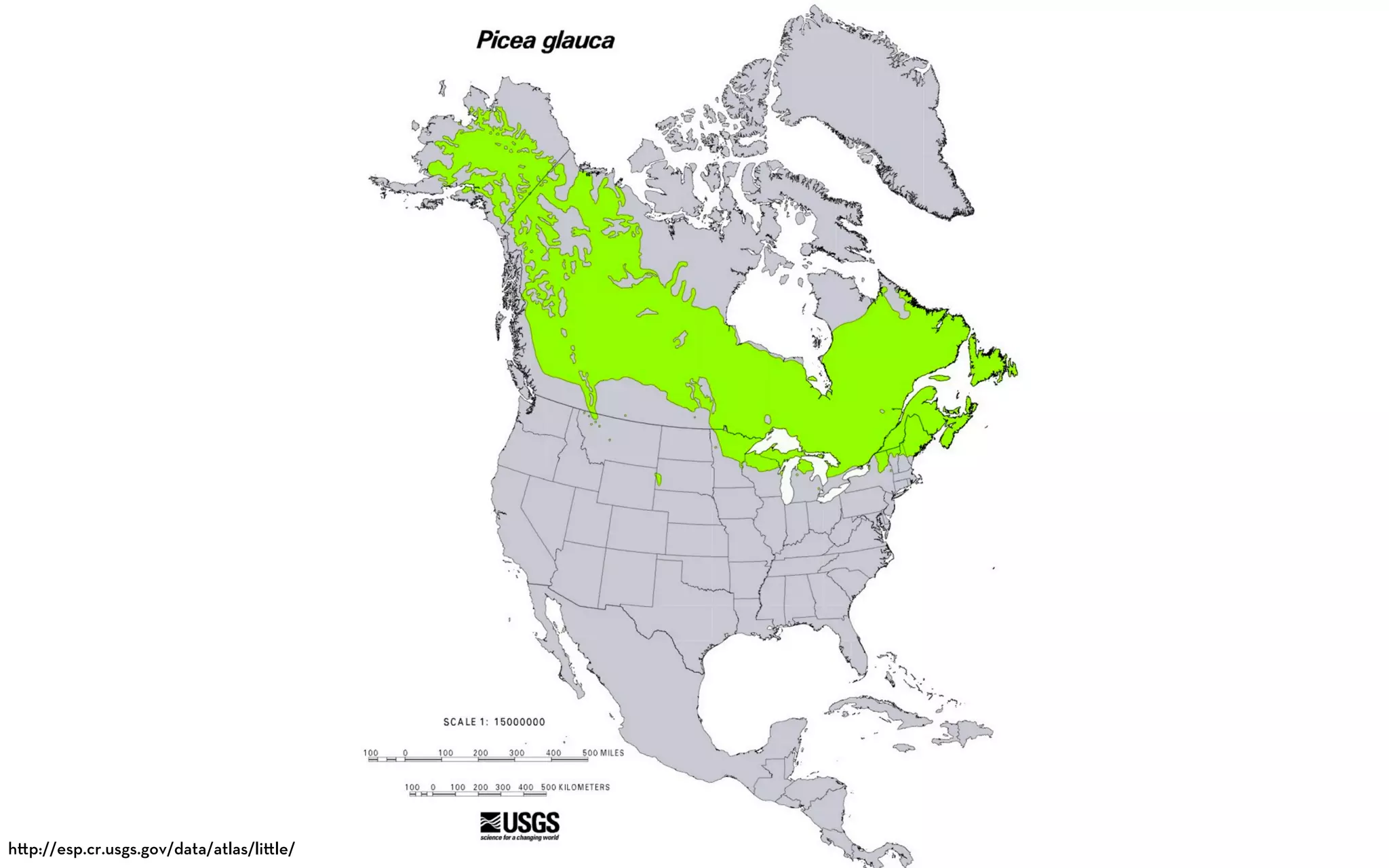 h p://esp.cr.usgs.gov/data/atlas/li le/
 