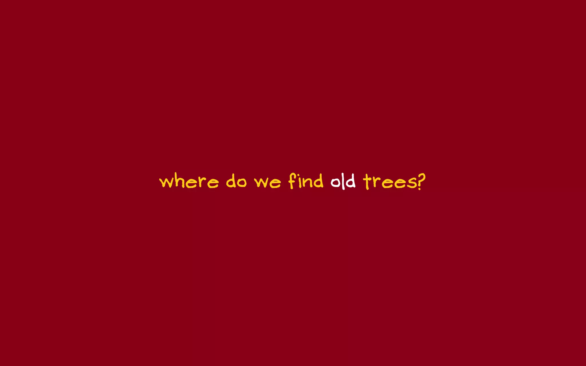 where do we find old trees?
 