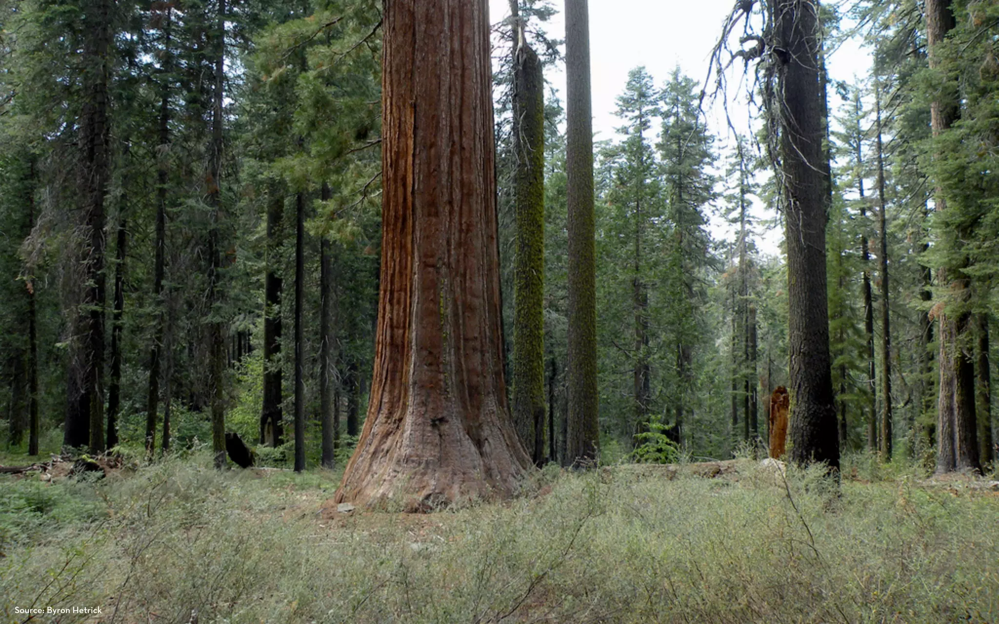 Source: Byron Hetrick
 