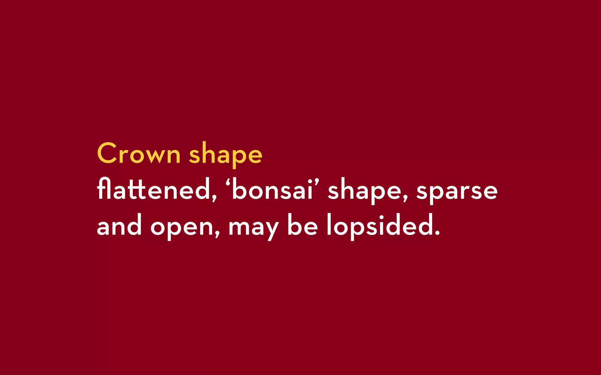 Crown shape
ﬂa ened, ‘bonsai’ shape, sparse
and open, may be lopsided.
 