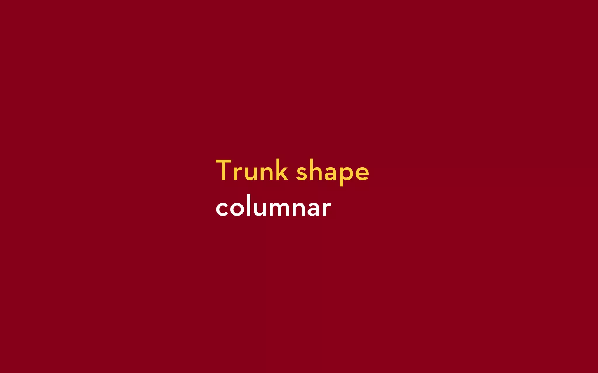 Trunk shape
columnar
 