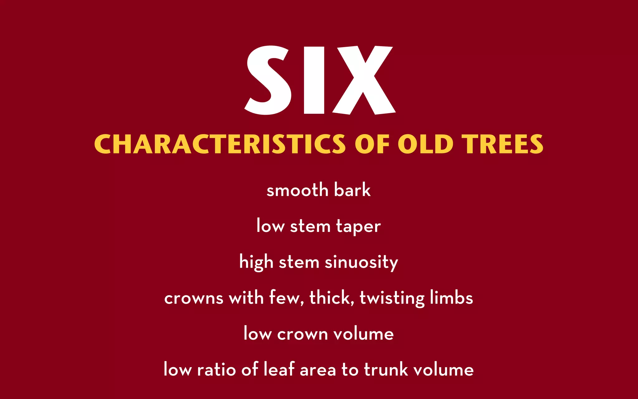 SIX
CHARACTERISTICS OF OLD TREES
                smooth bark
               low stem taper
             high stem sinuosity
    crowns with few, thick, twisting limbs
             low crown volume
    low ratio of leaf area to trunk volume
 