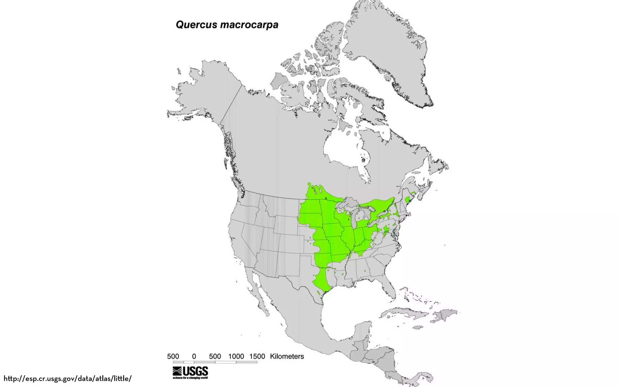 h p://esp.cr.usgs.gov/data/atlas/li le/
 