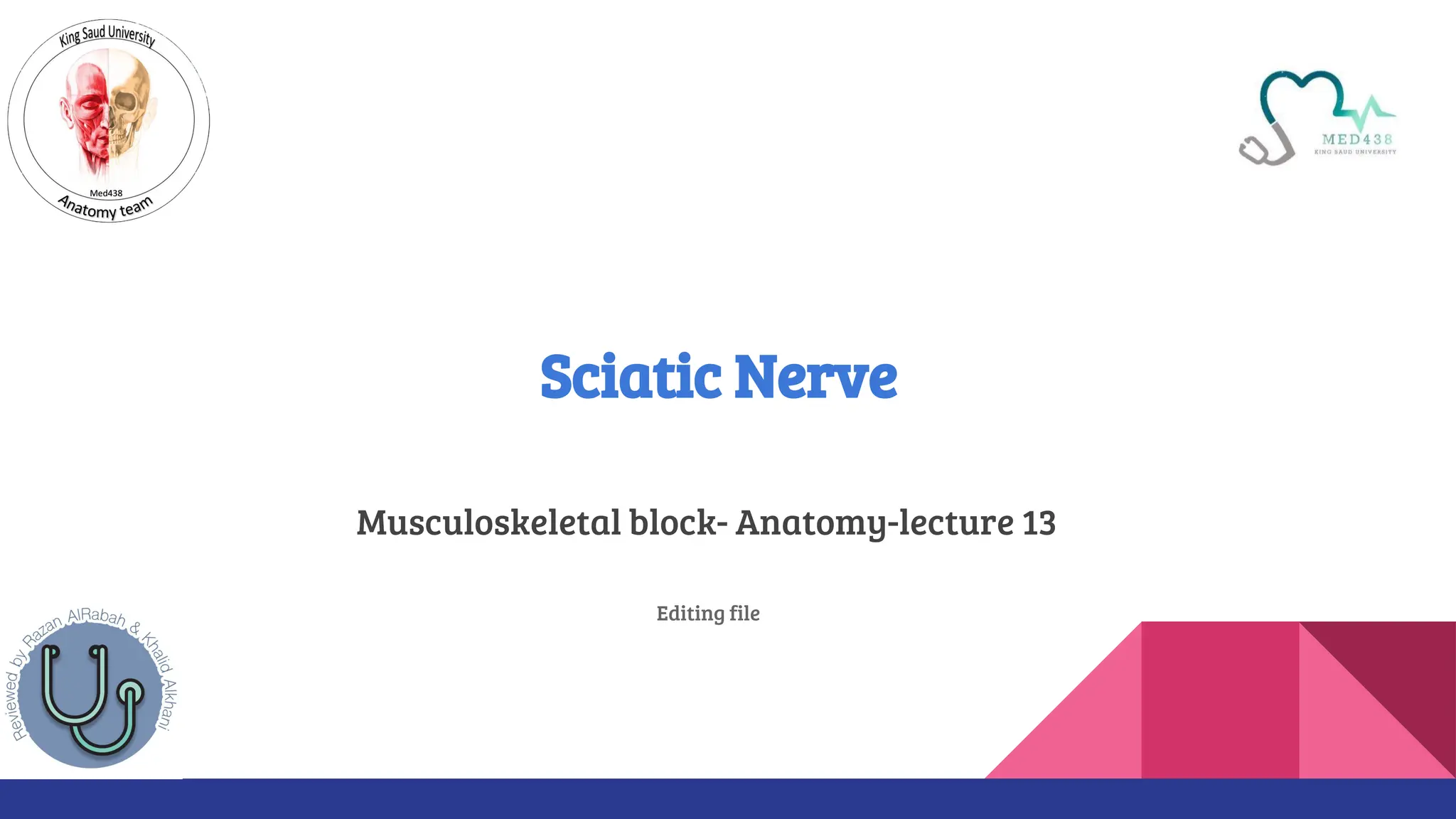 Musculoskeletal block- Anatomy-lecture 13
Editing file
Sciatic Nerve
 