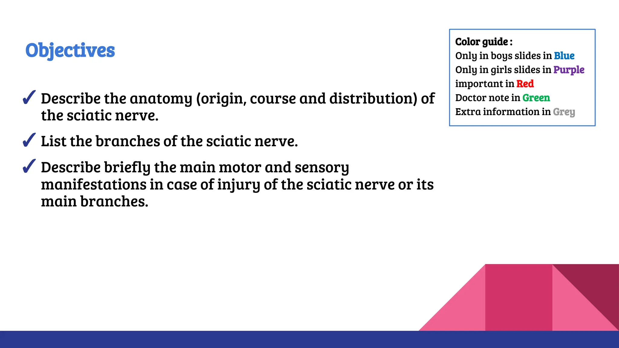 Objectives
✓Describe the anatomy (origin, course and distribution) of
the sciatic nerve.
✓List the branches of the sciatic nerve.
✓Describe briefly the main motor and sensory
manifestations in case of injury of the sciatic nerve or its
main branches.
Color guide :
Only in boys slides in Blue
Only in girls slides in Purple
important in Red
Doctor note in Green
Extra information in Grey
 