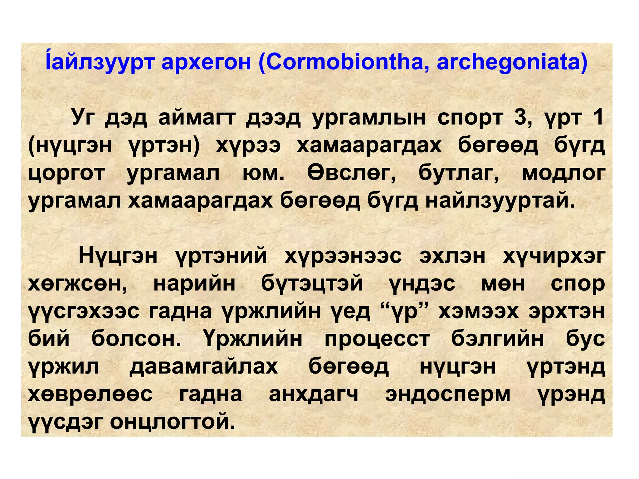 Íайлзуурт архегон (Cormobiontha, archegoniata)
Уг дэд аймагт дээд ургамлын спорт 3, үрт 1
(нүцгэн үртэн) хүрээ хамаарагдах бөгөөд бүгд
цоргот ургамал юм. Өвслөг, бутлаг, модлог
ургамал хамаарагдах бөгөөд бүгд найлзууртай.
Нүцгэн үртэний хүрээнээс эхлэн хүчирхэг
хөгжсөн, нарийн бүтэцтэй үндэс мөн спор
үүсгэхээс гадна үржлийн үед “үр” хэмээх эрхтэн
бий болсон. Үржлийн процесст бэлгийн бус
үржил давамгайлах бөгөөд нүцгэн үртэнд
хөврөлөөс гадна анхдагч эндосперм үрэнд
үүсдэг онцлогтой.
 