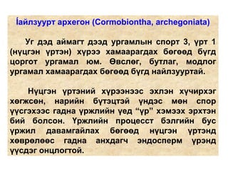 Íайлзуурт архегон (Cormobiontha, archegoniata)
Уг дэд аймагт дээд ургамлын спорт 3, үрт 1
(нүцгэн үртэн) хүрээ хамаарагдах бөгөөд бүгд
цоргот ургамал юм. Өвслөг, бутлаг, модлог
ургамал хамаарагдах бөгөөд бүгд найлзууртай.
Нүцгэн үртэний хүрээнээс эхлэн хүчирхэг
хөгжсөн, нарийн бүтэцтэй үндэс мөн спор
үүсгэхээс гадна үржлийн үед “үр” хэмээх эрхтэн
бий болсон. Үржлийн процесст бэлгийн бус
үржил давамгайлах бөгөөд нүцгэн үртэнд
хөврөлөөс гадна анхдагч эндосперм үрэнд
үүсдэг онцлогтой.
 