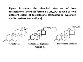 C19h28o2 Structure lecture 14.pptx
