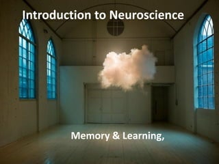 Introduction to Neuroscience
Memory & Learning,
 