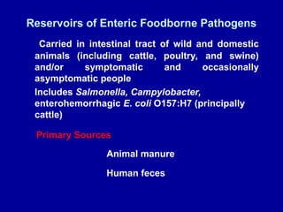 Reservoirs of Enteric Foodborne Pathogens
Carried in intestinal tract of wild and domestic
animals (including cattle, poultry, and swine)
and/or symptomatic and occasionally
asymptomatic people
Includes Salmonella, Campylobacter,
enterohemorrhagic E. coli O157:H7 (principally
cattle)
Primary Sources
Animal manure
Human feces
 