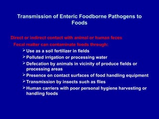 Transmission of Enteric Foodborne Pathogens to
Foods
Direct or indirect contact with animal or human feces
Fecal matter can contaminate foods through:
Use as a soil fertilizer in fields
Polluted irrigation or processing water
Defecation by animals in vicinity of produce fields or
processing areas
Presence on contact surfaces of food handling equipment
Transmission by insects such as flies
Human carriers with poor personal hygiene harvesting or
handling foods
 