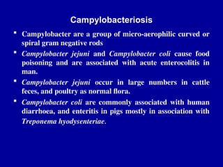 Campylobacteriosis
 Campylobacter are a group of micro-aerophilic curved or
spiral gram negative rods
 Campylobacter jejuni and Campylobacter coli cause food
poisoning and are associated with acute enterocolitis in
man.
 Campylobacter jejuni occur in large numbers in cattle
feces, and poultry as normal flora.
 Campylobacter coli are commonly associated with human
diarrhoea, and enteritis in pigs mostly in association with
Treponema hyodysenteriae.
 