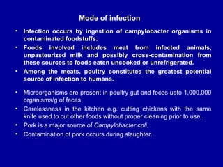 • Microorganisms are present in poultry gut and feces upto 1,000,000
organisms/g of feces.
• Carelessness in the kitchen e.g. cutting chickens with the same
knife used to cut other foods without proper cleaning prior to use.
• Pork is a major source of Campylobacter coli.
• Contamination of pork occurs during slaughter.
Mode of infection
• Infection occurs by ingestion of campylobacter organisms in
contaminated foodstuffs.
• Foods involved includes meat from infected animals,
unpasteurized milk and possibly cross-contamination from
these sources to foods eaten uncooked or unrefrigerated.
• Among the meats, poultry constitutes the greatest potential
source of infection to humans.
 