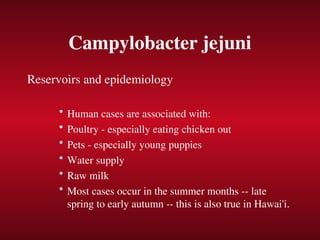 Campylobacter jejuni
Reservoirs and epidemiology
• Human cases are associated with:
• Poultry - especially eating chicken out
• Pets - especially young puppies
• Water supply
• Raw milk
• Most cases occur in the summer months -- late
spring to early autumn -- this is also true in Hawai'i.
 