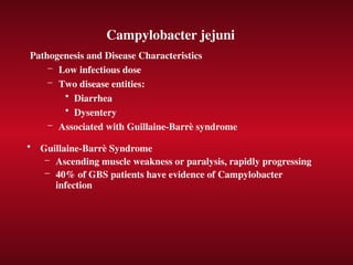 Campylobacter jejuni
Pathogenesis and Disease Characteristics
– Low infectious dose
– Two disease entities:
• Diarrhea
• Dysentery
– Associated with Guillaine-Barrè syndrome
• Guillaine-Barrè Syndrome
– Ascending muscle weakness or paralysis, rapidly progressing
– 40% of GBS patients have evidence of Campylobacter
infection
 