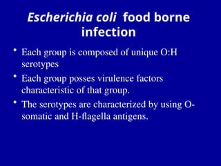 Escherichia coli food borne
infection
• Each group is composed of unique O:H
serotypes
• Each group posses virulence factors
characteristic of that group.
• The serotypes are characterized by using O-
somatic and H-flagella antigens.
 