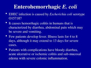 Enterohemorrhagic E. coli
 EHEC infection is caused by Escherichia coli serotype
O157:H7
 It causes hemorrhagic colitis in humans that is
characterized by diarrhea, abdominal pain which may
be severe and vomiting.
 Few patients develop fever. Illness lasts for 4 to 8
days, although it may extend to 13 days for severe
cases.
 Patients with complications have bloody diarrhea,
acute ulcerative or ischemic colitis and sub-mucosal
edema with severe colonic inflammation.
 