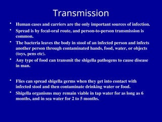 Transmission
• Human cases and carriers are the only important sources of infection.
• Spread is by fecal-oral route, and person-to-person transmission is
common.
• The bacteria leaves the body in stool of an infected person and infects
another person through contaminated hands, food, water, or objects
(toys, pens etc).
• Any type of food can transmit the shigella pathogens to cause disease
in man.
• Flies can spread shigella germs when they get into contact with
infected stool and then contaminate drinking water or food.
• Shigella organisms may remain viable in tap water for as long as 6
months, and in sea water for 2 to 5 months.
 