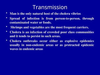 Transmission
• Man is the only natural host of the cholera vibrios
• Spread of infection is from person-to-person, through
contaminated water or foods.
• Shrimps and vegetables are the most frequent carriers.
• Cholera is an infection of crowded poor class communities
and it tends to persist in such areas.
• Cholera outbreaks occur either as explosive epidemics
usually in non-endemic areas or as protracted epidemic
waves in endemic areas
 