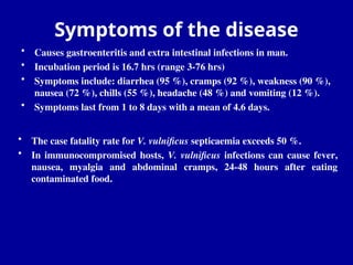 Symptoms of the disease
• Causes gastroenteritis and extra intestinal infections in man.
• Incubation period is 16.7 hrs (range 3-76 hrs)
• Symptoms include: diarrhea (95 %), cramps (92 %), weakness (90 %),
nausea (72 %), chills (55 %), headache (48 %) and vomiting (12 %).
• Symptoms last from 1 to 8 days with a mean of 4.6 days.
• The case fatality rate for V. vulnificus septicaemia exceeds 50 %.
• In immunocompromised hosts, V. vulnificus infections can cause fever,
nausea, myalgia and abdominal cramps, 24-48 hours after eating
contaminated food.
 