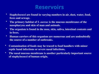Reservoirs
• Staphylococci are found in varying numbers in air, dust, water, food,
feces and sewage.
• The primary habitat of S. aureus is the mucous membranes of the
nasopharynx and skin of man and animals.
• The organism is found in the nose, skin, saliva, intestinal contents and
in feces.
• Human carriers of this organism are numerous and are undoubtedly
the source of a number of outbreaks.
• Contamination of foods may be traced to food handlers with minor
septic hand infections or severe nasal infections,
• The nasal mucous membrane is another particularly important source
of staphylococci of human origin.
 