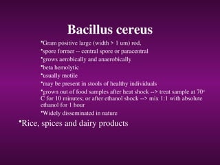 Bacillus cereus
•Gram positive large (width > 1 um) rod,
•spore former -- central spore or paracentral
•grows aerobically and anaerobically
•beta hemolytic
•usually motile
•may be present in stools of healthy individuals
•grown out of food samples after heat shock --> treat sample at 70o
C for 10 minutes; or after ethanol shock --> mix 1:1 with absolute
ethanol for 1 hour
•Widely disseminated in nature
•Rice, spices and dairy products
 