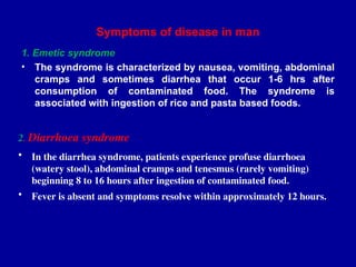 Symptoms of disease in man
1. Emetic syndrome
• The syndrome is characterized by nausea, vomiting, abdominal
cramps and sometimes diarrhea that occur 1-6 hrs after
consumption of contaminated food. The syndrome is
associated with ingestion of rice and pasta based foods.
2. Diarrhoea syndrome
• In the diarrhea syndrome, patients experience profuse diarrhoea
(watery stool), abdominal cramps and tenesmus (rarely vomiting)
beginning 8 to 16 hours after ingestion of contaminated food.
• Fever is absent and symptoms resolve within approximately 12 hours.
 
