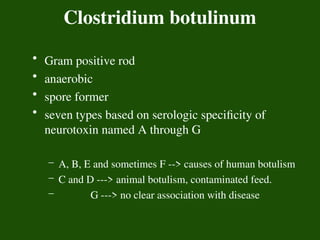 Clostridium botulinum
• Gram positive rod
• anaerobic
• spore former
• seven types based on serologic specificity of
neurotoxin named A through G
– A, B, E and sometimes F --> causes of human botulism
– C and D ---> animal botulism, contaminated feed.
– G ---> no clear association with disease
 