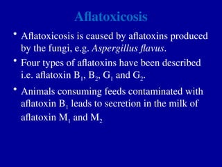 Aflatoxicosis
• Aflatoxicosis is caused by aflatoxins produced
by the fungi, e.g. Aspergillus flavus.
• Four types of aflatoxins have been described
i.e. aflatoxin B1, B2, G1 and G2.
• Animals consuming feeds contaminated with
aflatoxin B1 leads to secretion in the milk of
aflatoxin M1 and M2
 