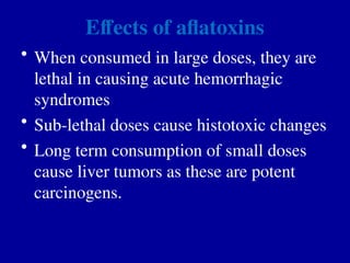 Effects of aflatoxins
• When consumed in large doses, they are
lethal in causing acute hemorrhagic
syndromes
• Sub-lethal doses cause histotoxic changes
• Long term consumption of small doses
cause liver tumors as these are potent
carcinogens.
 