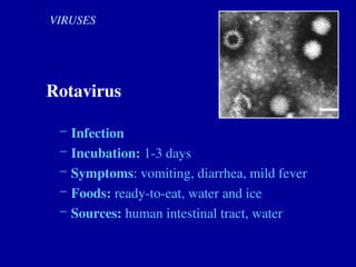 VIRUSES
Rotavirus
– Infection
– Incubation: 1-3 days
– Symptoms: vomiting, diarrhea, mild fever
– Foods: ready-to-eat, water and ice
– Sources: human intestinal tract, water
 