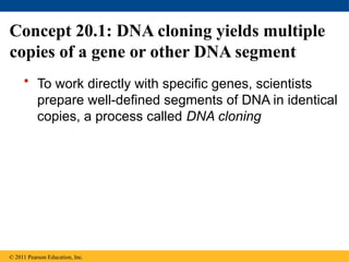 Comprehensive Overview of DNA Cloning and Genetic Engineering ...