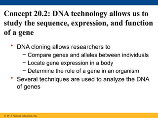 Comprehensive Overview of DNA Cloning and Genetic Engineering ...