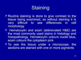 Routine Staining Introduction to Histology................. | PPT