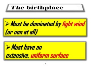 Must be dominated by light wind

(or non at all)

Must have an

extensive, uniform surface
5

 