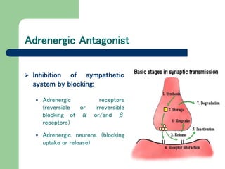 Adrenergic Antagonist
 Inhibition of sympathetic
system by blocking:
 Adrenergic receptors
(reversible or irreversible
blocking of α or/and β
receptors)
 Adrenergic neurons (blocking
uptake or release)
 