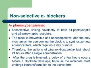 Non-selective α- blockers
A- phenoxybenzamine:
 nonselective, linking covalently to both α1-postsynaptic
and α2-presynaptic receptors.
 The block is irreversible and noncompetitive, and the only
mechanism for overcoming the block is to synthesize new
adrenoceptors, which requires a day or more.
 Therefore, the actions of phenoxybenzamine last about
24 hours after a single administration.
 After the drug is injected, a delay of a few hours occurs
before a blockade develops, because the molecule must
undergo biotransformation to the active form.
 