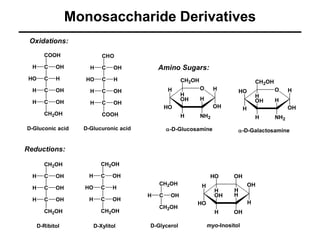 Lecture 14 carbohydrates complete to be taught | PPT