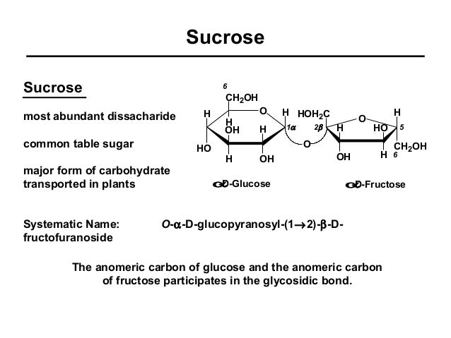 which disaccharide has a free anomeric carbon which disaccharide has a free anomeric carbon