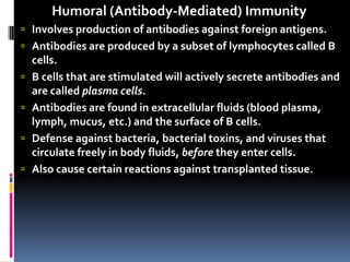   Humoral (Antibody-Mediated) Immunity Involves production of antibodies against foreign antigens. Antibodies are produced by a subset of lymphocytes called B cells. B cells that are stimulated will actively secrete antibodies and are called plasma cells. Antibodies are found in extracellular fluids (blood plasma, lymph, mucus, etc.) and the surface of B cells. Defense against bacteria, bacterial toxins, and viruses that circulate freely in body fluids, before they enter cells. Also cause certain reactions against transplanted tissue. 