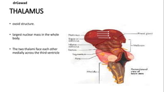 Lecture+14+ppt | PPT
