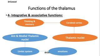 Lecture+14+ppt | PPT