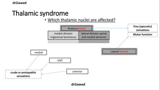 Lecture+14+ppt | PPT
