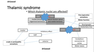 Lecture+14+ppt | PPT