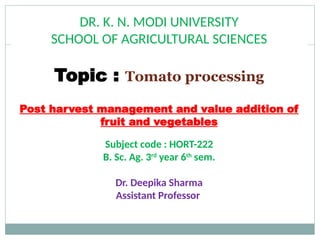 Comprehensive Guide to Tomato Processing and Value Addition Techniques ...