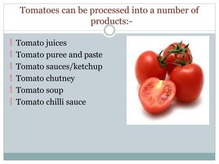 Comprehensive Guide to Tomato Processing and Value Addition Techniques ...